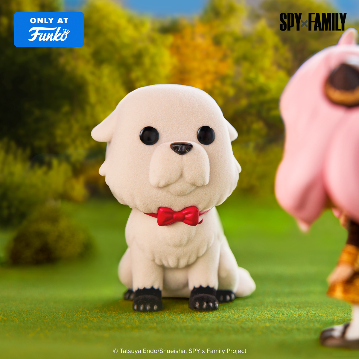 Spy X Family